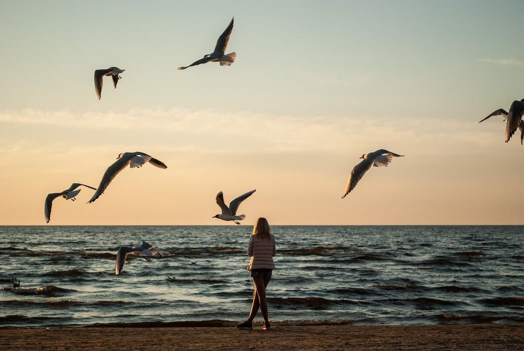 Persona observando aves marinas en libertad, símbolo de liberación del sufrimiento con tu psicólogo en Marbella.